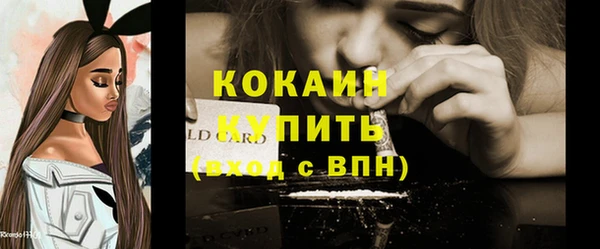 хмурый Няндома