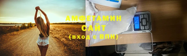 хмурый Няндома