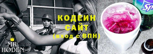 хмурый Няндома