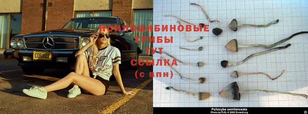 герыч Новокубанск