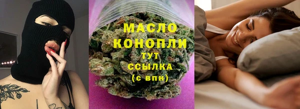 хмурый Няндома